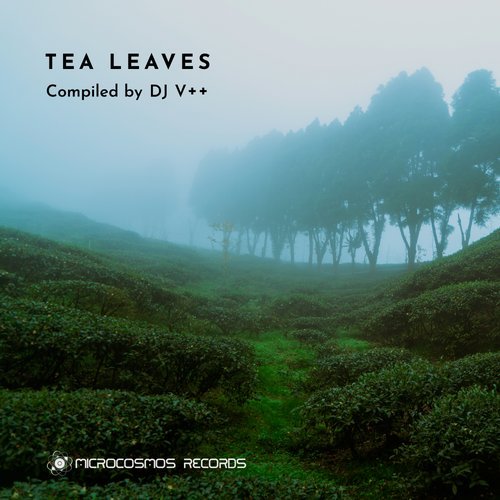 Cover for DJ V++ - Tea Leaves - 2019