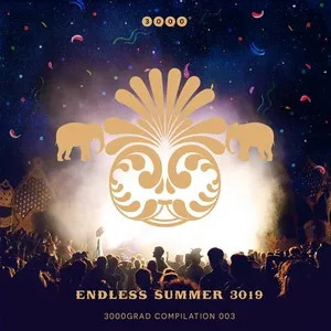 3000 Grad - Endless Summer 3019 - 2019 cover image