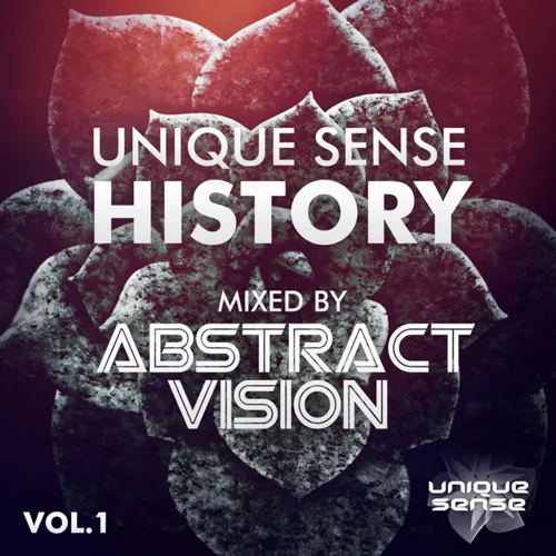 Abstract Vision - Unique Sense History Vol. 1 - 2015 cover image