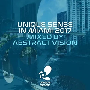 Abstract Vision - Unique Sense In Miami 2017 - 2017 cover image