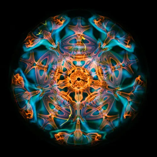 Dirtwire - Ambient Journeys Vol. 1 (La Selva) - 2024 cover image