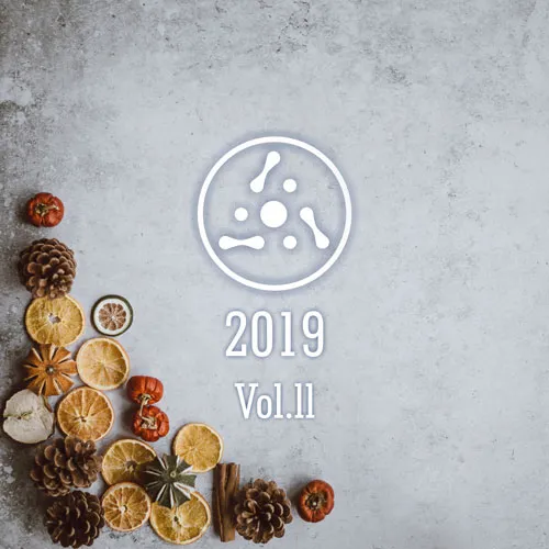 AstroPilot Music 2019 Vol. 2 (Ambient Version) - 2019 cover image