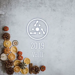 AstroPilot Music 2019 Vol. 2 (Ambient Version) - 2019 cover image