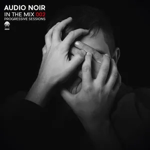 Audio Noir - In The Mix 002 - Progressive Sessions - 2016 cover image