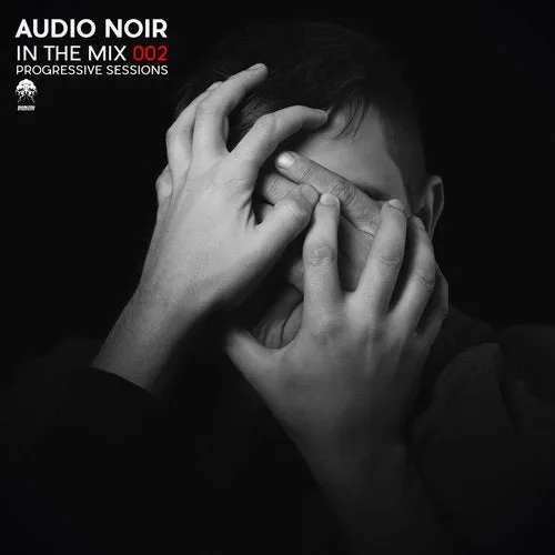 Audio Noir - In The Mix 002 - Progressive Sessions - 2016 cover image