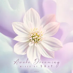 SAxY - Awake Dreaming - 2024 cover image