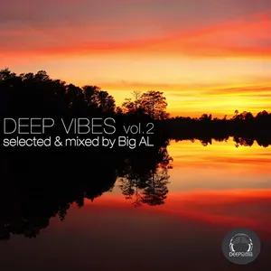 BiG AL - Deep Vibes Vol. 2 - 2015 cover image