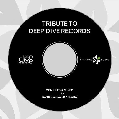 Daniel Cleaver & SlanG - Tribute To Deep Dive Records - 2018 cover image