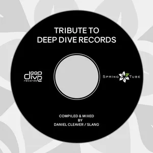 Daniel Cleaver & SlanG - Tribute To Deep Dive Records - 2018 cover image