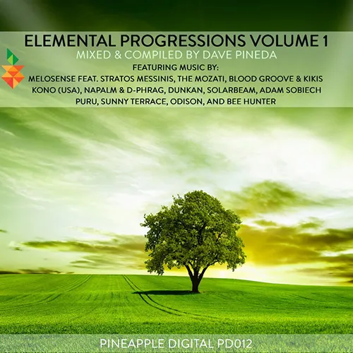 Dave Pineda - Elemental Progressions Vol. 1 - 2014 cover image