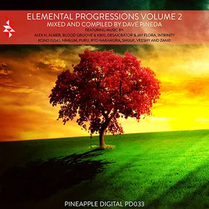 Dave Pineda - Elemental Progressions Vol. 2 - 2014 cover image