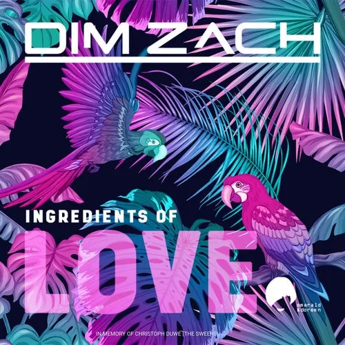 Dim Zach - Ingredients Of Love (Mixed By Jerry Bouthier) - 2021 cover image