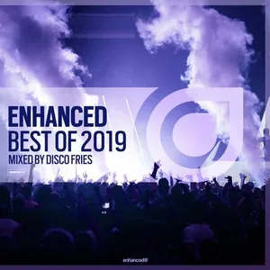 Disco Fries - Enhanced - Best Of 2019 - 2019 cover image