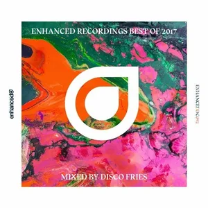 Disco Fries - Enhanced Recordings - Best Of 2017 - 2017 cover image