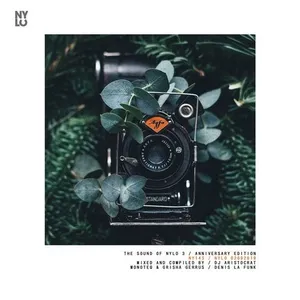 DJ Aristocrat, Denis La Funk, Monoteq & Grisha Gerrus - The Sound Of NYLO Vol. 3 - 2019 cover image