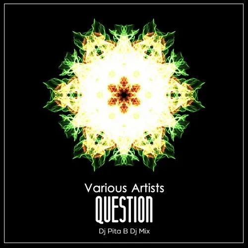DJ Pita B - Question - 2018 cover image