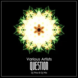 DJ Pita B - Question - 2018 cover image