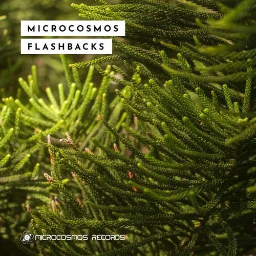 DJ V++ - Microcosmos Flashbacks - 2018 cover image
