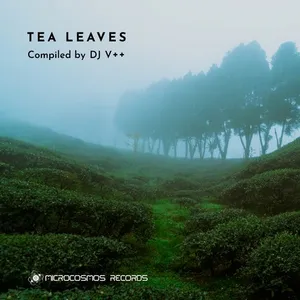 DJ V++ - Tea Leaves - 2019 cover image