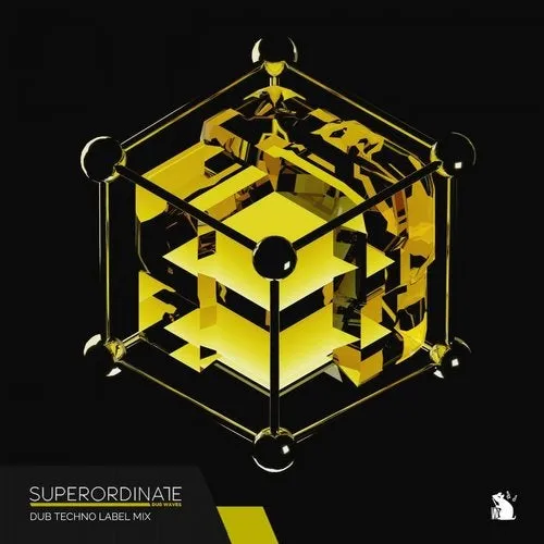 f1rstpers0n - Superordinate Dub Waves - Dub Techno Label Mix - 2018 cover image