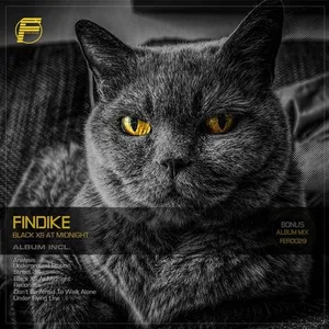 Findike - Black XS At Midnight - 2019 cover image