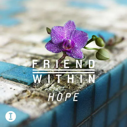 Friend Within - Hope - 2021 cover image