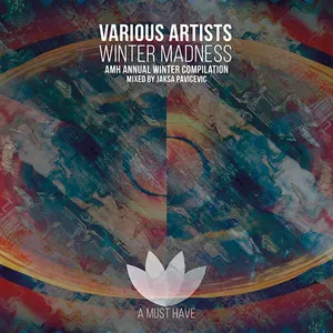Jaksa Pavicevic - Winter Madness - AMH Annual Winter Compilation - 2017 cover image