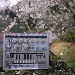 Kick.S - Acid 2018 - 2018 cover image