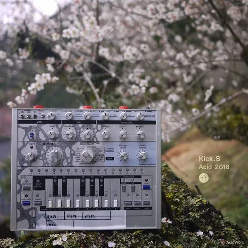 Kick.S - Acid 2018 - 2018 cover image