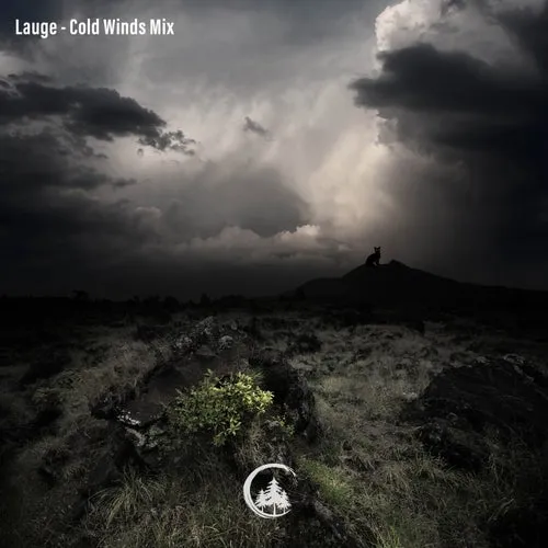 Lauge - Cold Winds - 2022 cover image