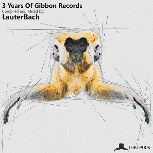 LauterBach - 3 Years Of Gibbon Records - 2017 cover image