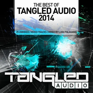 Luigi Palagano - The Best Of Tangled Audio 2014 - 2014 cover image