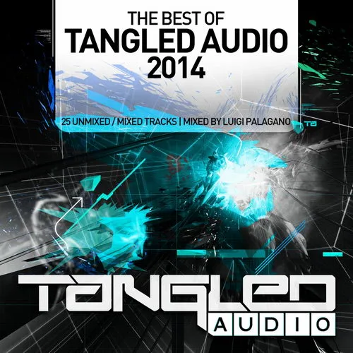 Luigi Palagano - The Best Of Tangled Audio 2014 - 2014 cover image