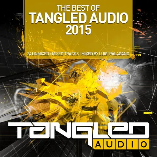 Luigi Palagano - The Best Of Tangled Audio 2015 - 2015 cover image