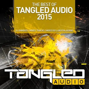 Luigi Palagano - The Best Of Tangled Audio 2015 - 2015 cover image