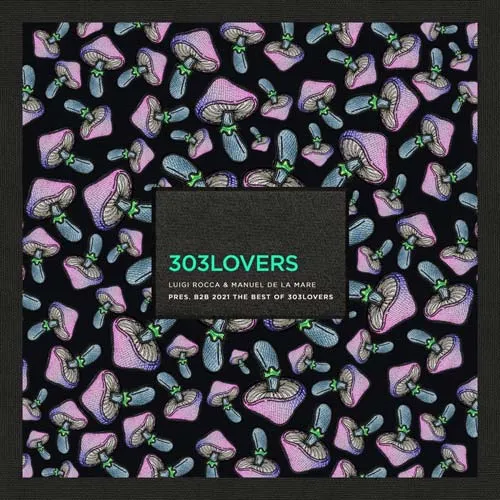 Luigi Rocca & Manuel De La Mare - B2B 2021 - The Best Of 303Lovers - 2021 cover image