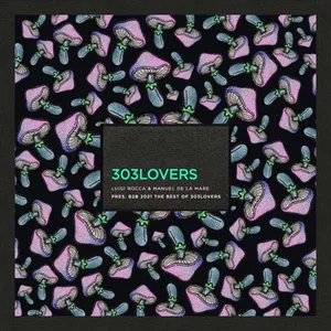 Luigi Rocca & Manuel De La Mare - B2B 2021 - The Best Of 303Lovers - 2021 cover image