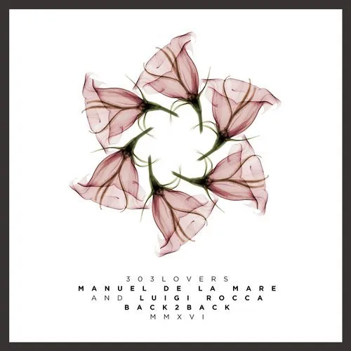 Luigi Rocca & Manuel De La Mare - Back To Back MMXVI - 2016 cover image