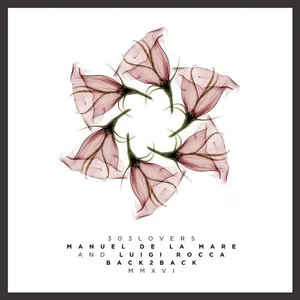 Luigi Rocca & Manuel De La Mare - Back To Back MMXVI - 2016 cover image