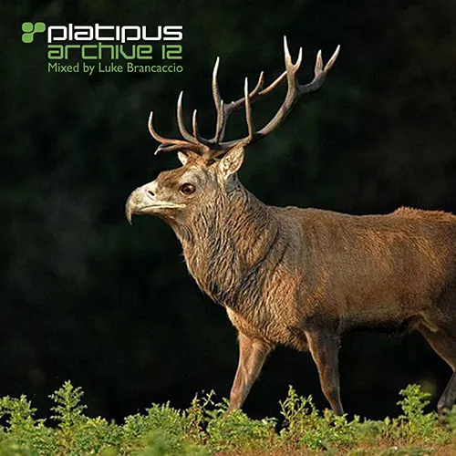 Luke Brancaccio - Platipus - Archive 12 - 2018 cover image