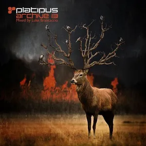 Luke Brancaccio - Platipus - Archive 13 - 2018 cover image