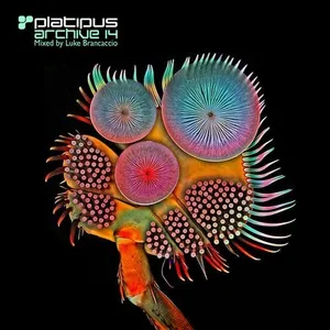 Luke Brancaccio - Platipus - Archive 14 - 2019 cover image