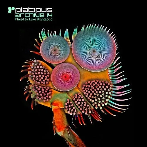 Luke Brancaccio - Platipus - Archive 14 - 2019 cover image