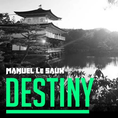 Manuel Le Saux - Destiny - 2016 cover image