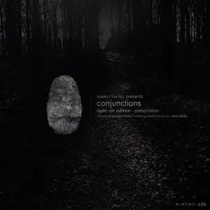Marco Bailey - Conjunctions (Open Air Edition) - 2019 cover image