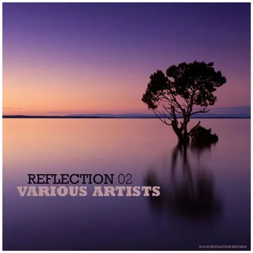 Mark Ellison - Reflection 02 - 2018 cover image