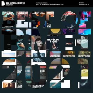 Maurizio Patti - Best Of Big Mamas House Records 2021 - 2021 cover image