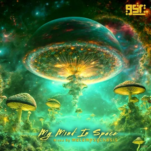 Metempsychosis - My Mind In Space - 2024 cover image