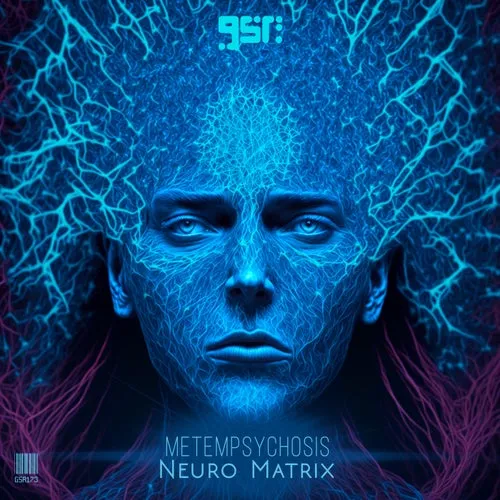metempsychosis - Neuro Matrix - 2023 cover image