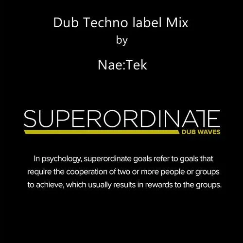 Nae:Tek - Superordinate Dub Waves - Dub Techno Label Mix - 2018 cover image